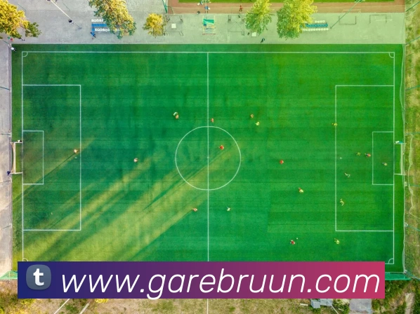 战术分析频道